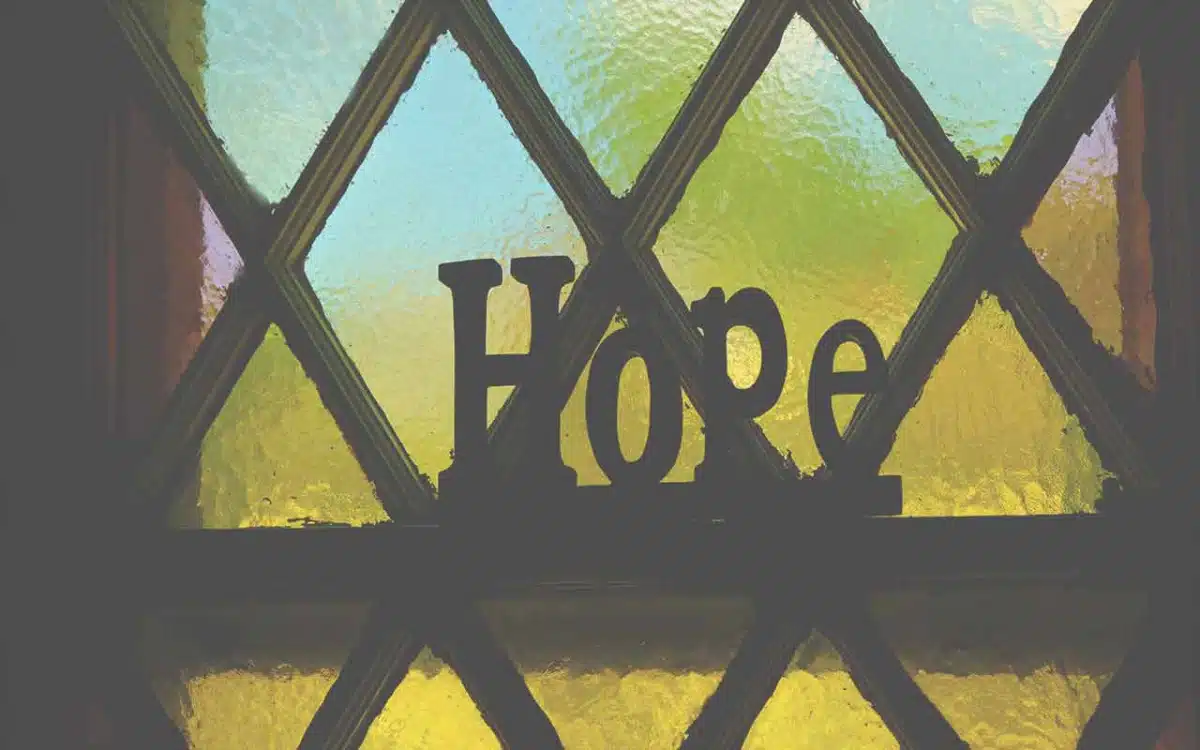 Alfre Inc - Thumbnail 5