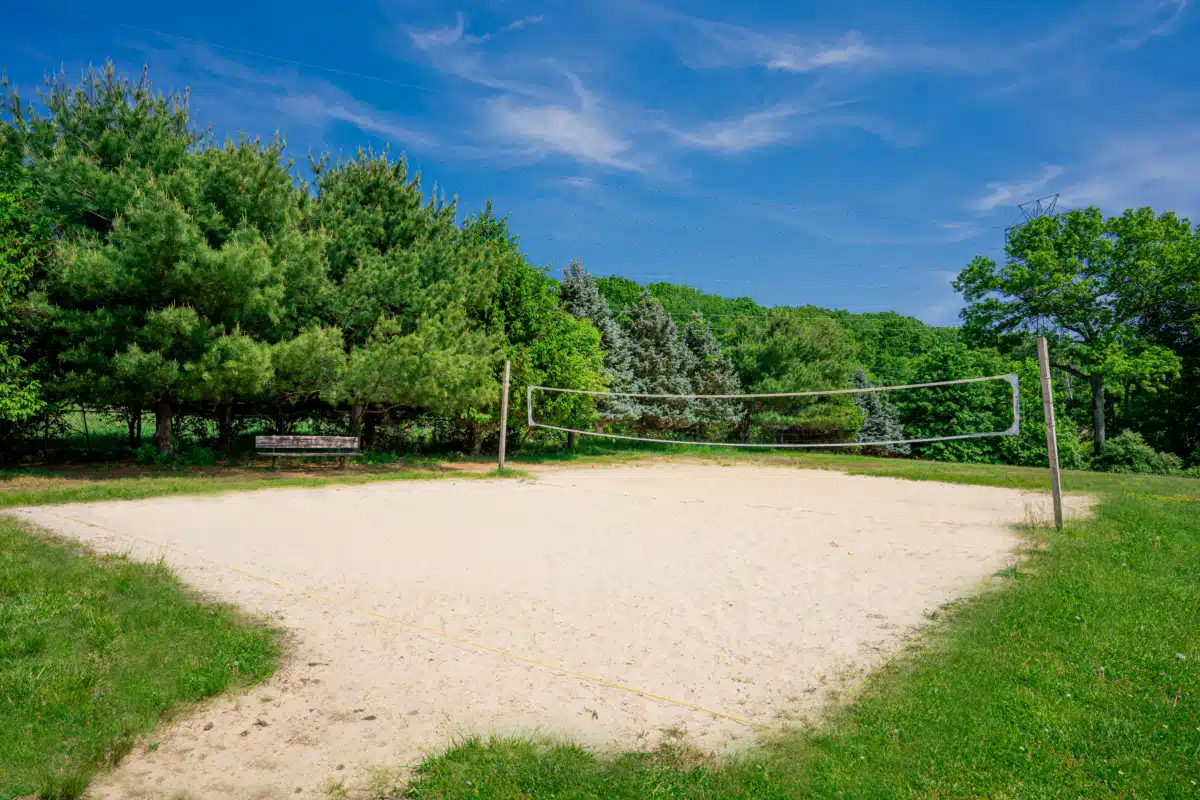 Discovery Institute for - Thumbnail 9