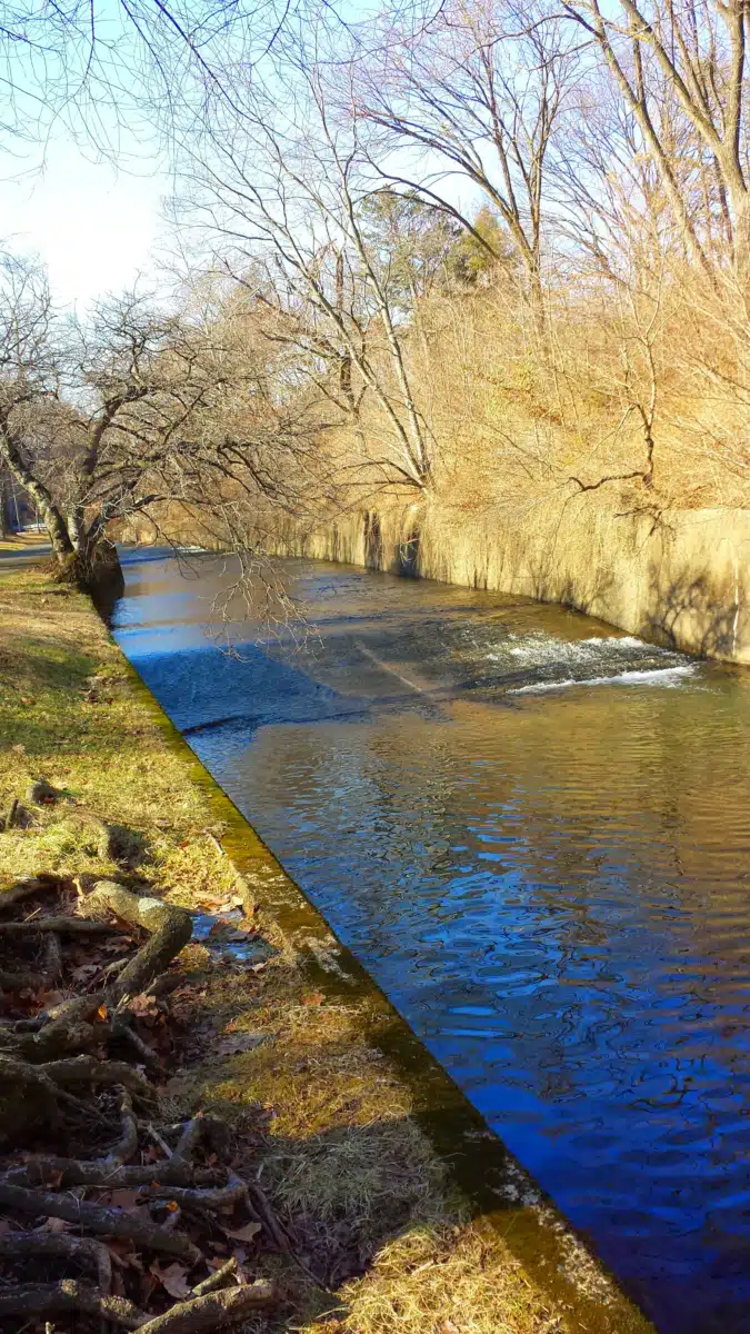 North West Essex Community - Thumbnail 3