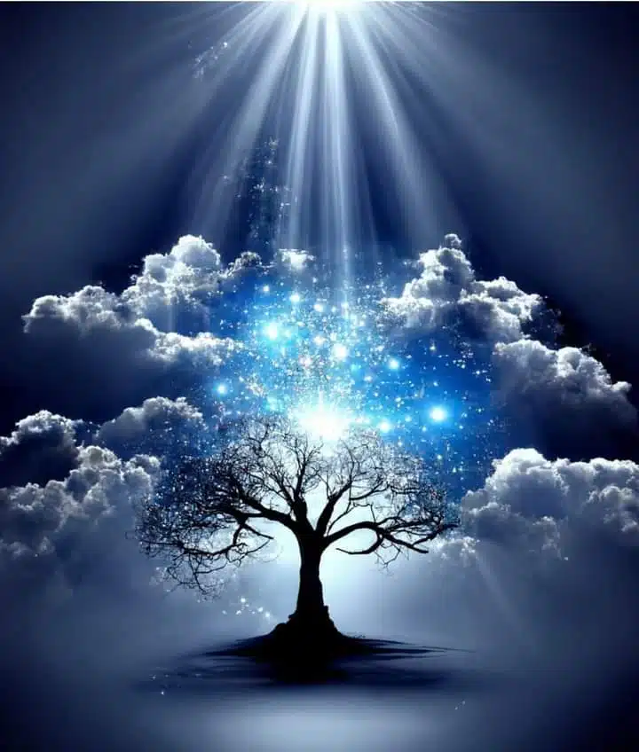 Saint Clares Behavioral Health - Thumbnail 4