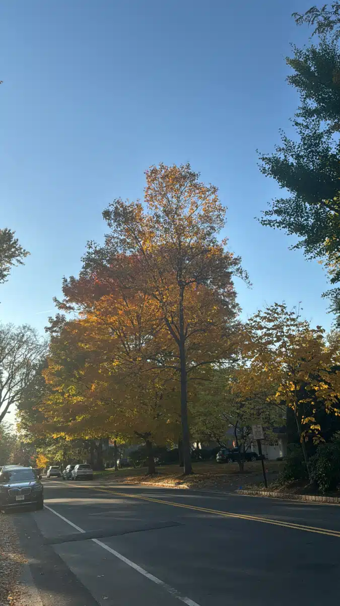 Summit Oaks Hospital - Thumbnail 6