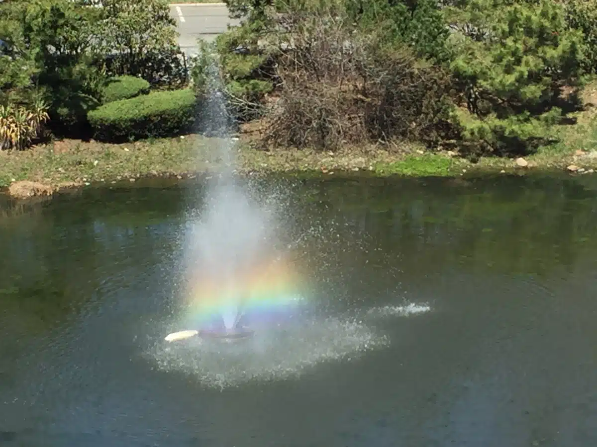 Wellness Solutions Counseling Services - Thumbnail 4